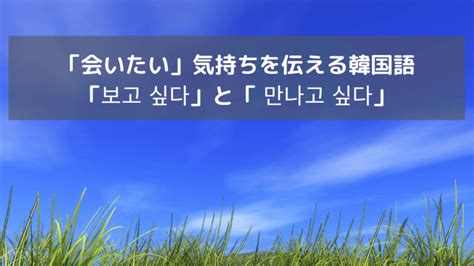 보고 싶다 意味|「会いたい」韓国語で？보고 싶다, 만나고 싶다の使い分け、間違 .